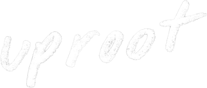 demo51940 logo